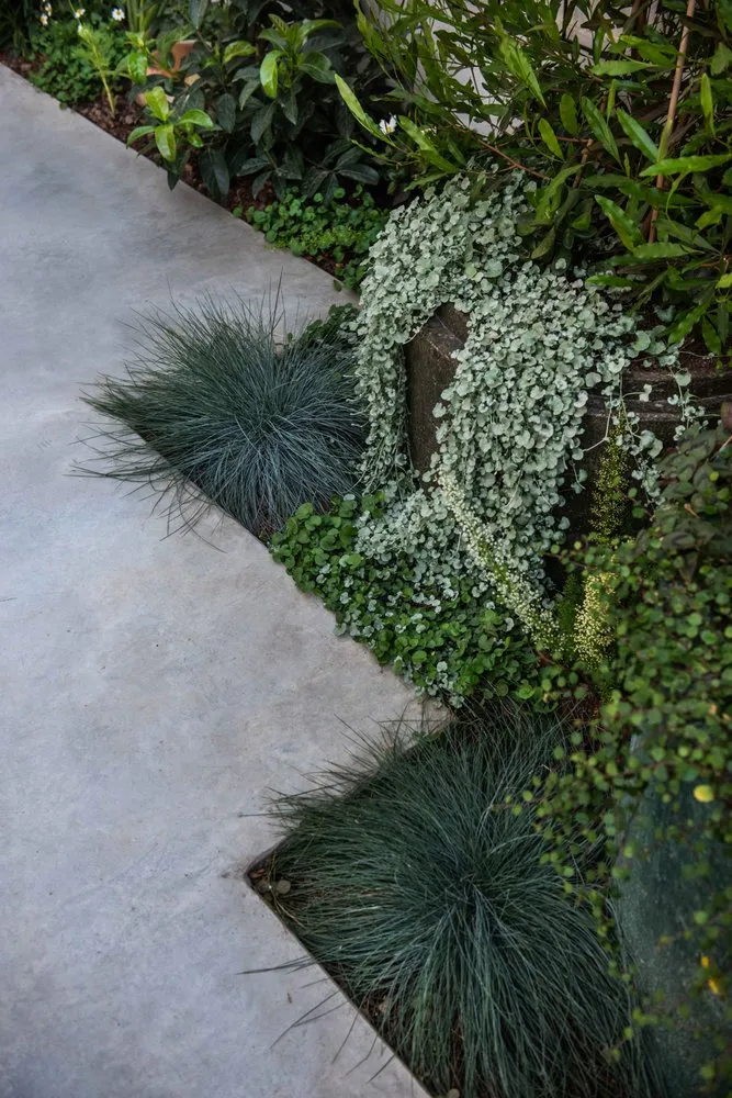 Local landscaping services in Glendale, CA by Roy Altaras Landscape Design and Build