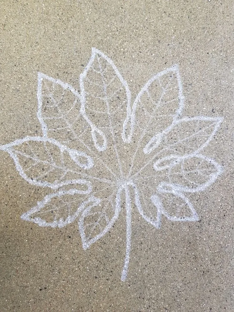 Custom yard cleanup service for year-round maintenance in Glendale, CA by Roy Altaras Landscape Design and Build