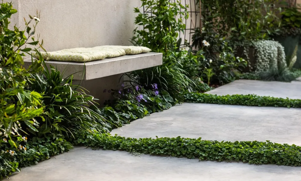 Expert yard cleanup service in Glendale, CA by Roy Altaras Landscape Design and Build