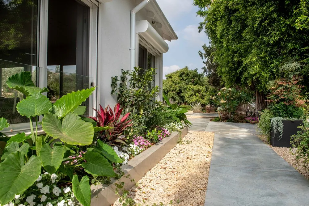 Reliable yard maintenance in Glendale, CA - Roy Altaras Landscape Design and Build