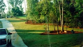 Reliable yard maintenance experts serving Gainesville, GA - Roy Johnson & Sons Lawn Maintenance
