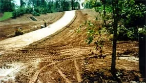 Affordable yard cleanup service near you in Gainesville, GA by Roy Johnson & Sons Lawn Maintenance