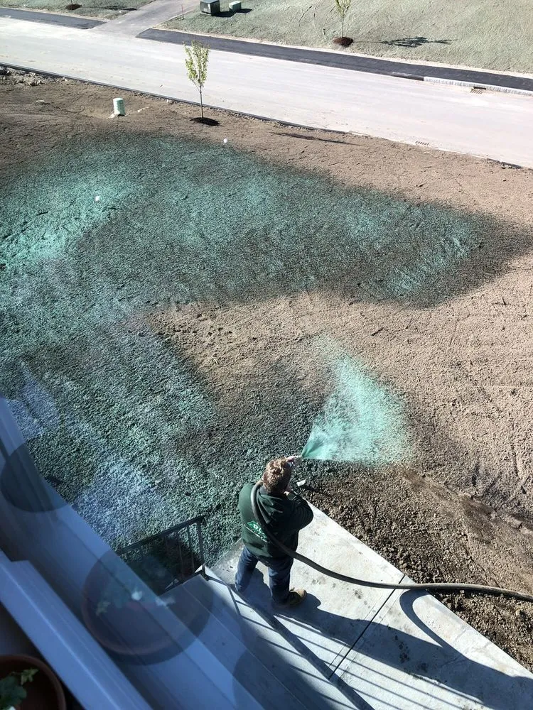 Top-rated yard cleanup service in Millville, MA by Roy Landscaping