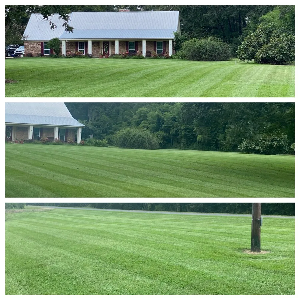 Expert landscape design experts serving Oak Ridge, LA - Roy Montgomery Lawn Mowing Service