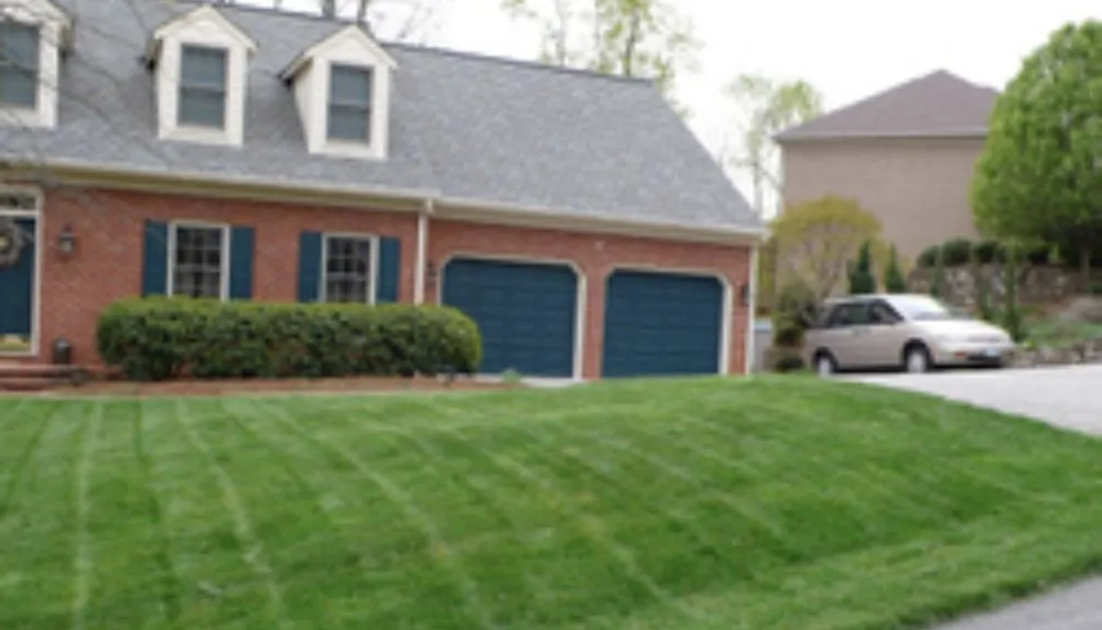 Expert yard cleanup service in Crosby, TX - Royal Battle Market