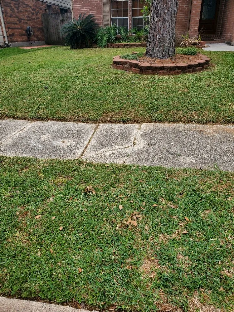 Expert landscape design in Crosby, TX - Royal Battle Market