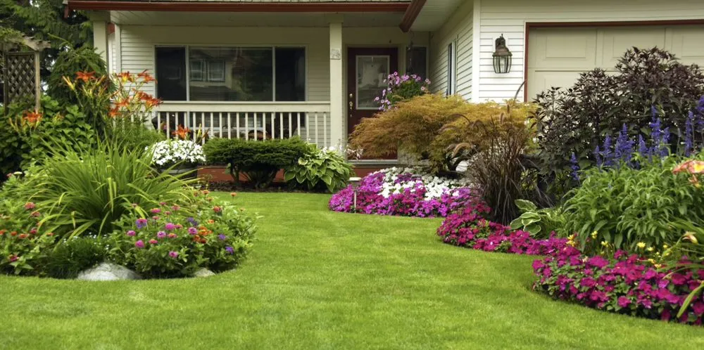 Reliable lawn mowing service for homes across Crosby, TX - Royal Battle Market