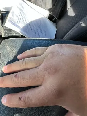 Royal Blade Landscaping Logo