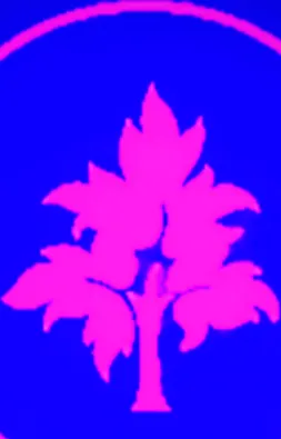 Affordable lawn care service in Colorado Springs, CO - Royal Cleaning Landscaping