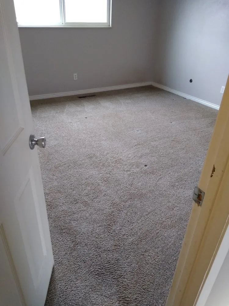 Trusted yard cleanup service in Colorado Springs, CO - Royal Cleaning Landscaping