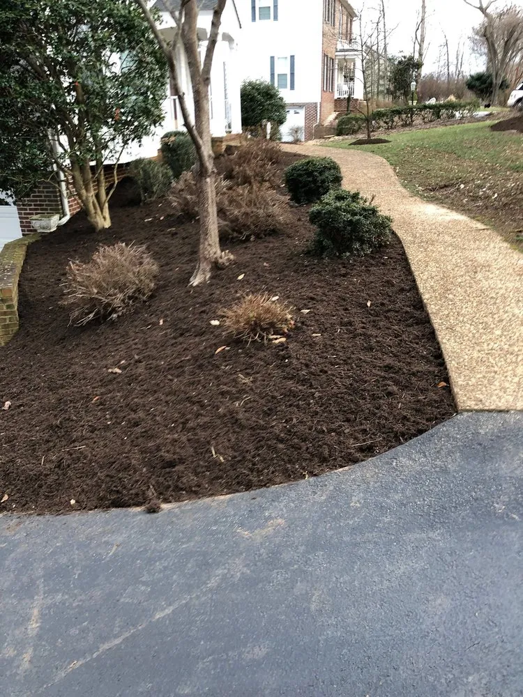 Affordable yard cleanup service in Colorado Springs, CO - Royal Cleaning Landscaping