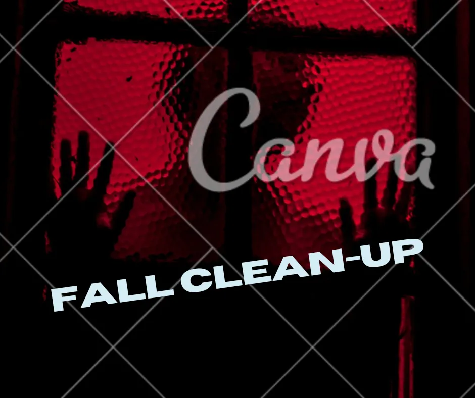 Custom lawn care service in Colorado Springs, CO by Royal Cleaning Landscaping