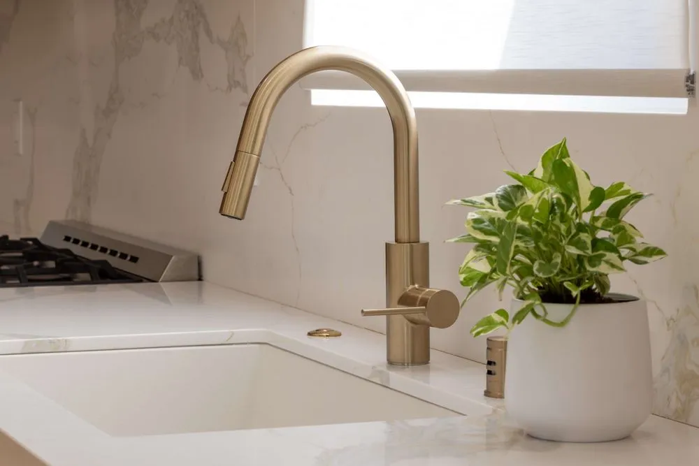 Reliable landscaping services experts serving Woodland Hills, CA - Royal Construction