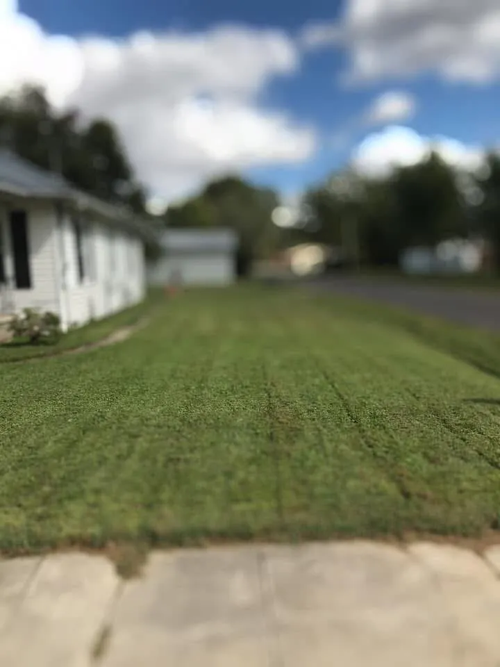 Trusted outdoor landscaping in Sikeston, MO - Royal Crown