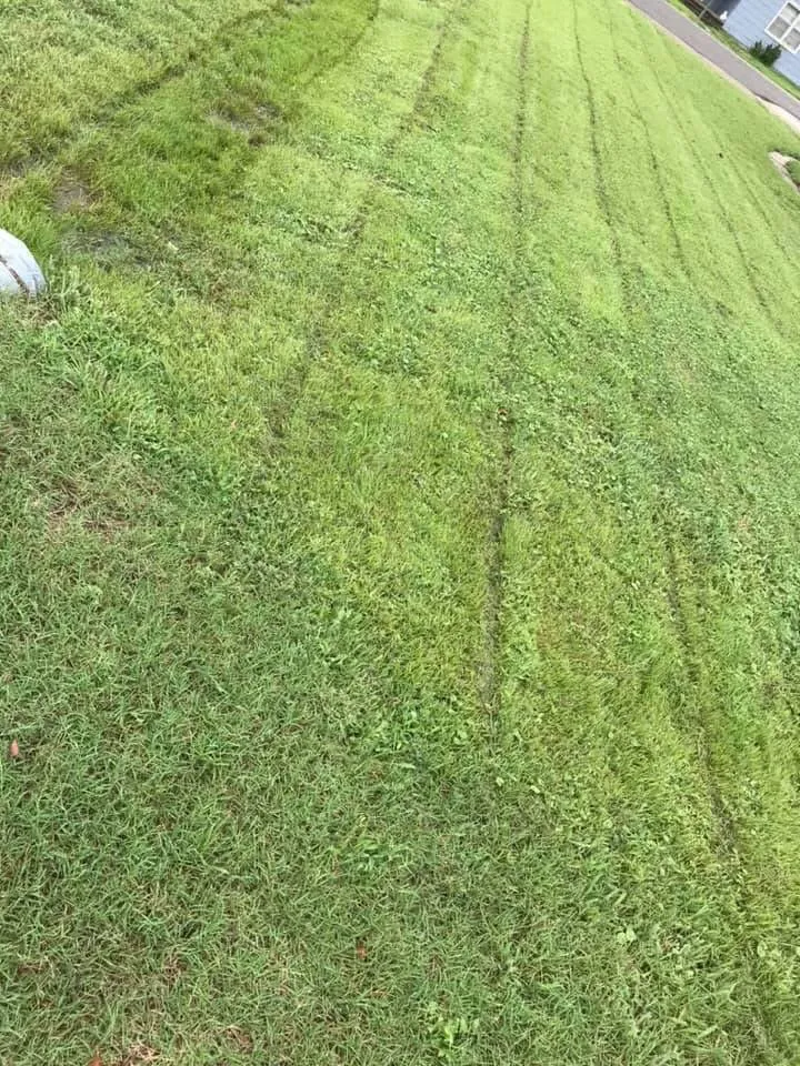 Trusted garden landscaping for beautiful yards in Sikeston, MO by Royal Crown