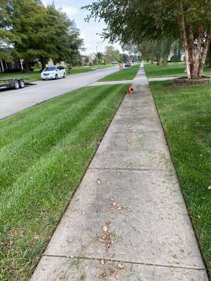 Affordable garden landscaping experts serving Sikeston, MO - Royal Crown