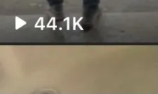 Top-rated landscape design in Sikeston, MO - Royal Crown