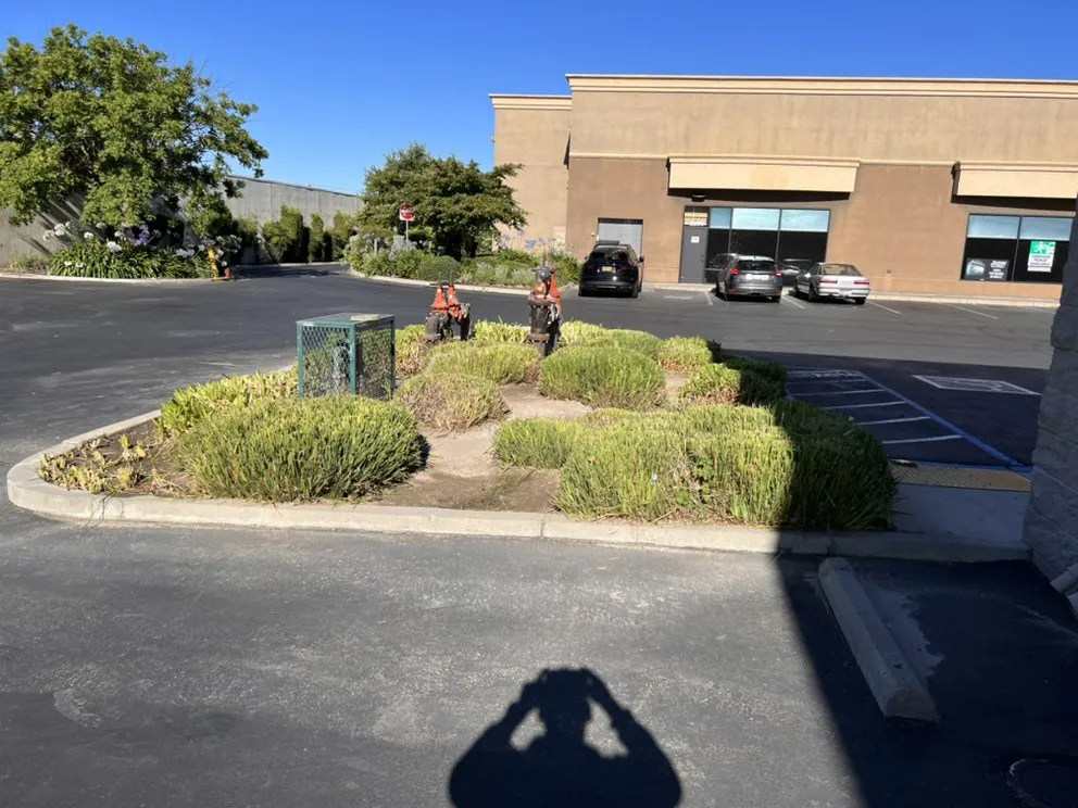 Reliable landscaping services for residential properties in Modesto, CA by Royal Cuts Landscape