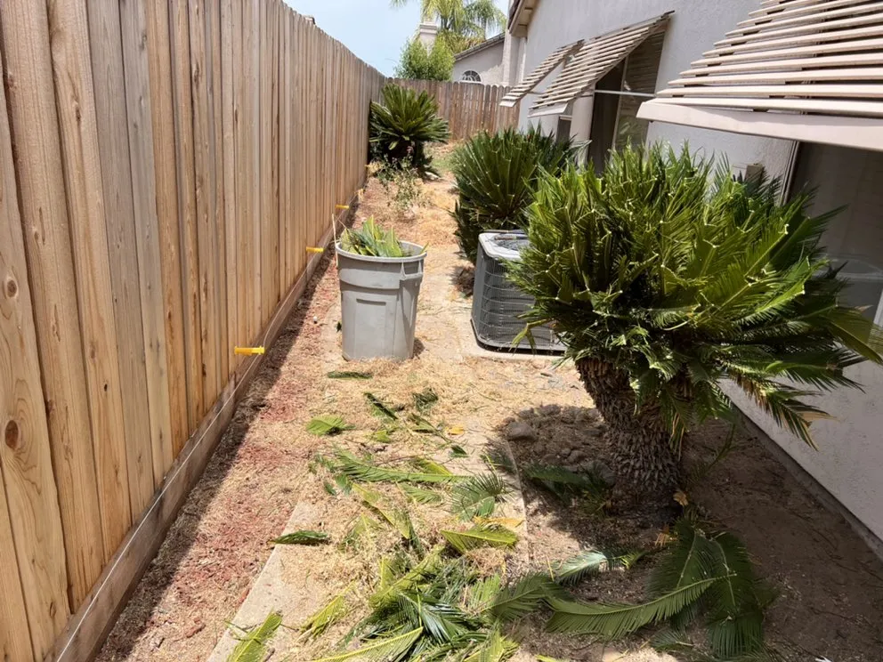 Professional outdoor landscaping for residential properties across Modesto, CA - Royal Cuts Landscape