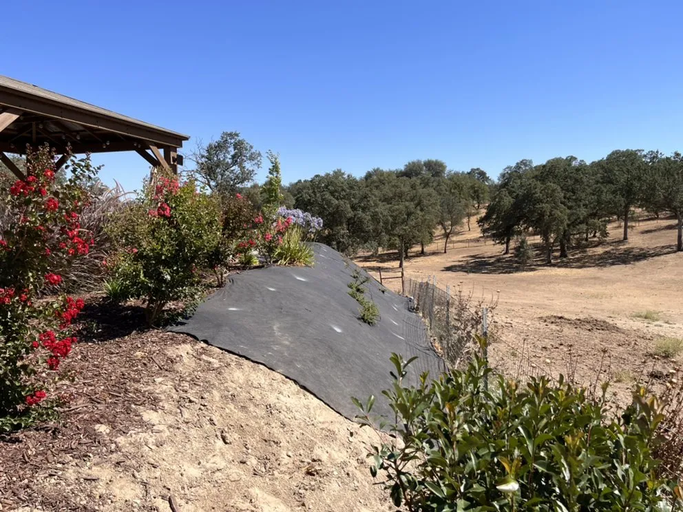 Reliable landscape installation for outdoor upgrades across Modesto, CA - Royal Cuts Landscape