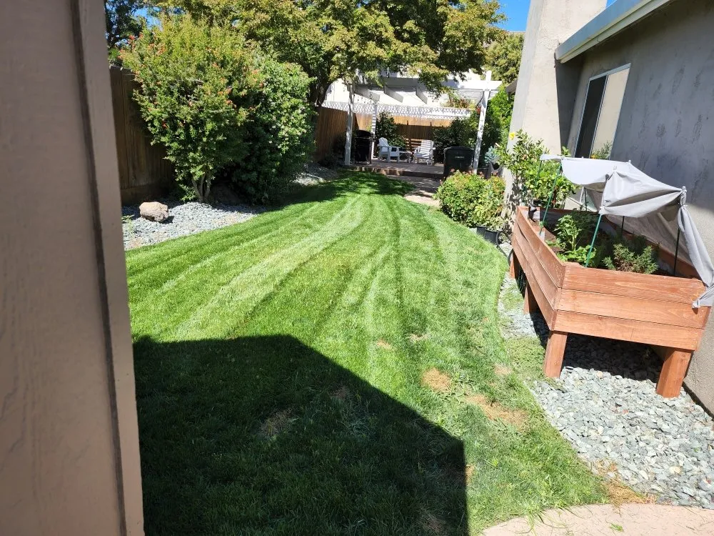 Local yard maintenance for beautiful yards across Modesto, CA - Royal Cuts Landscape