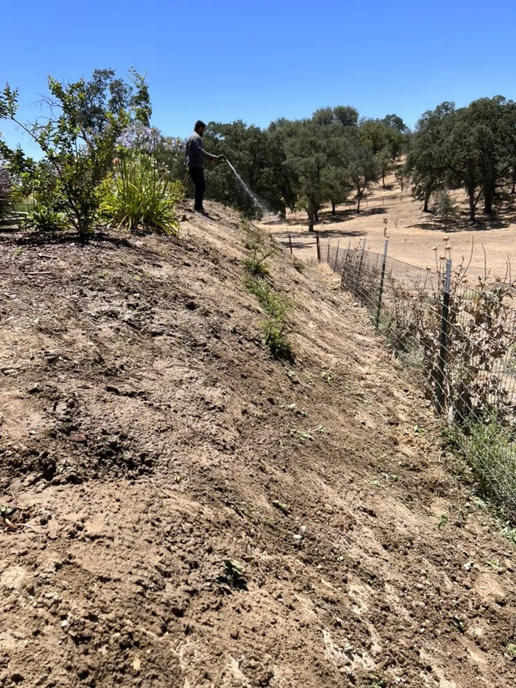 Top-rated landscaping services in Modesto, CA by Royal Cuts Landscape