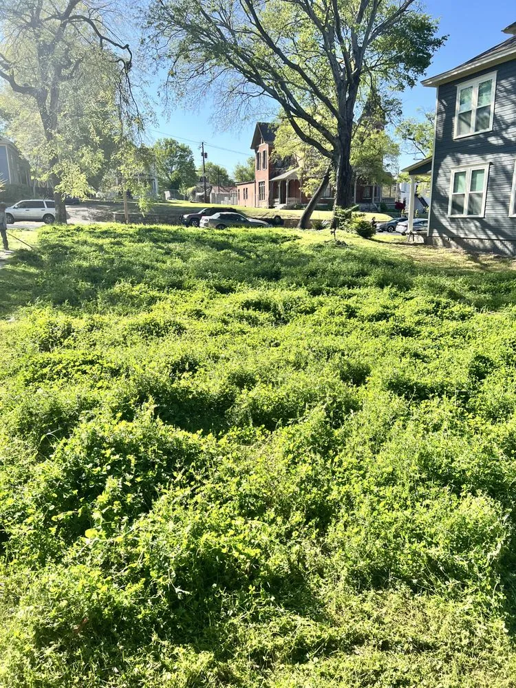 Top-rated outdoor landscaping in Little Rock, AR by Royal Cuts Landscaping & Lawn Services