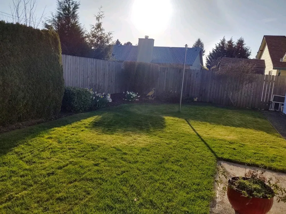 Custom yard maintenance in Vancouver, WA - Royal Empress Lawn Care