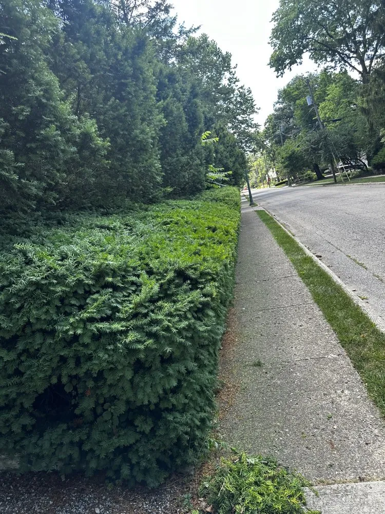 Local landscaping services experts serving Columbus, OH - Royal Family Landscaping