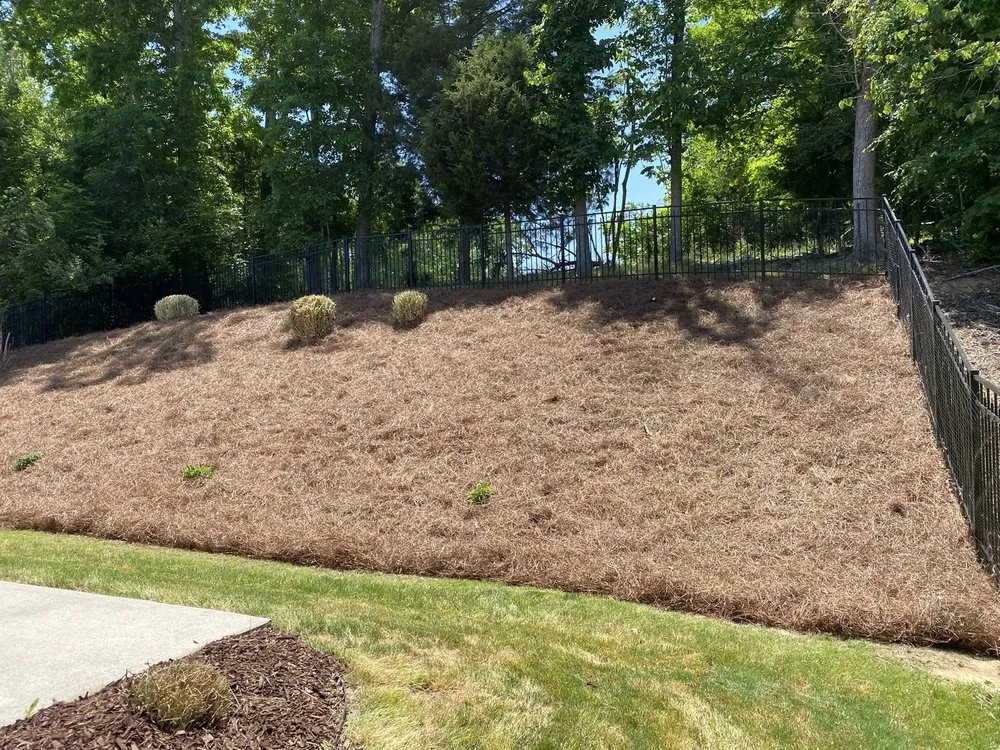 Professional yard cleanup service in Mooresville, NC - Royal Fiscal Landscaping