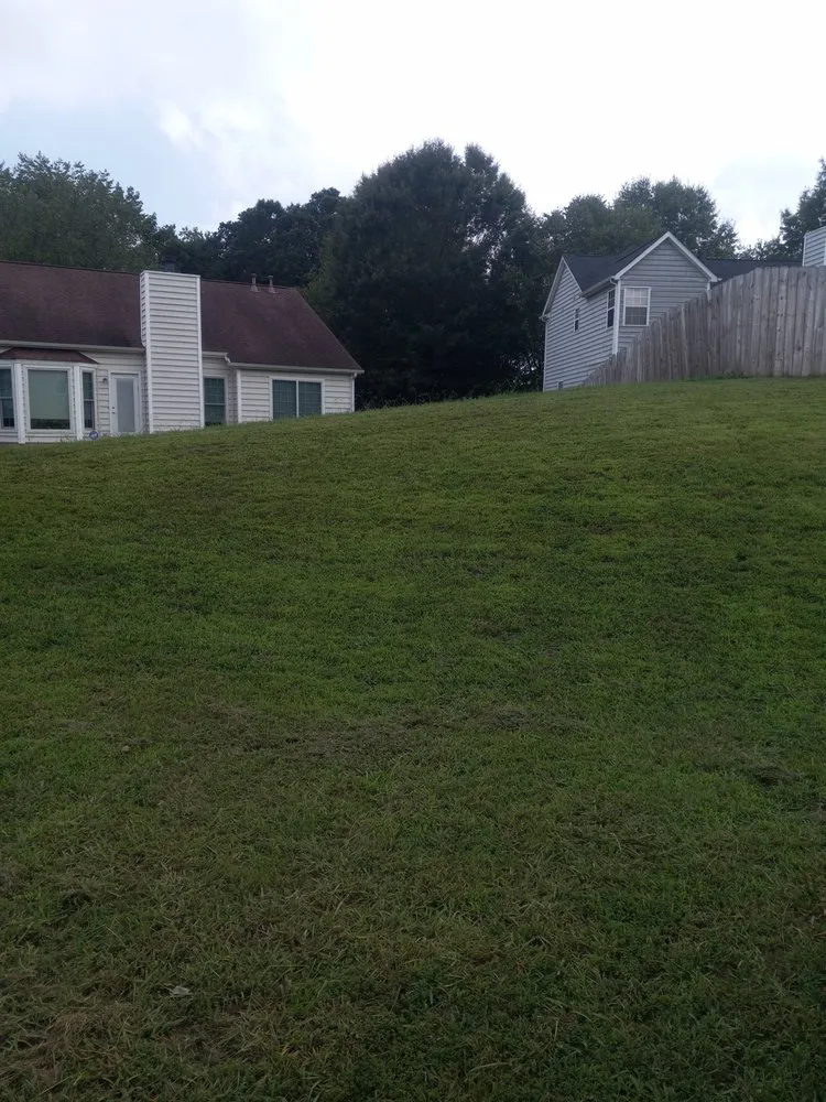 Reliable outdoor landscaping in Charlotte, NC by Royal Funderburk