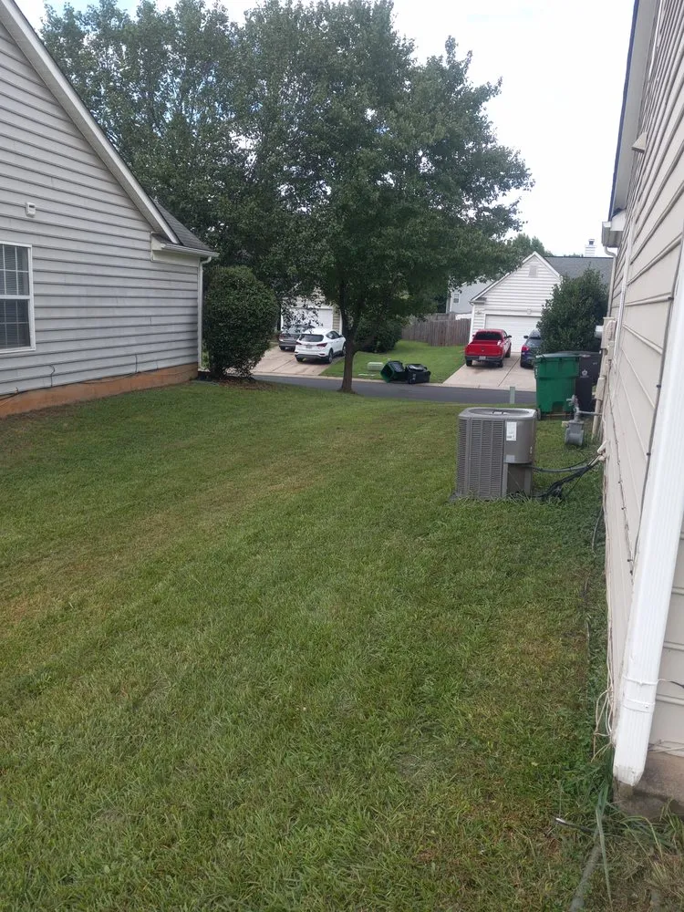 Reliable landscape installation for beautiful yards across Charlotte, NC - Royal Funderburk