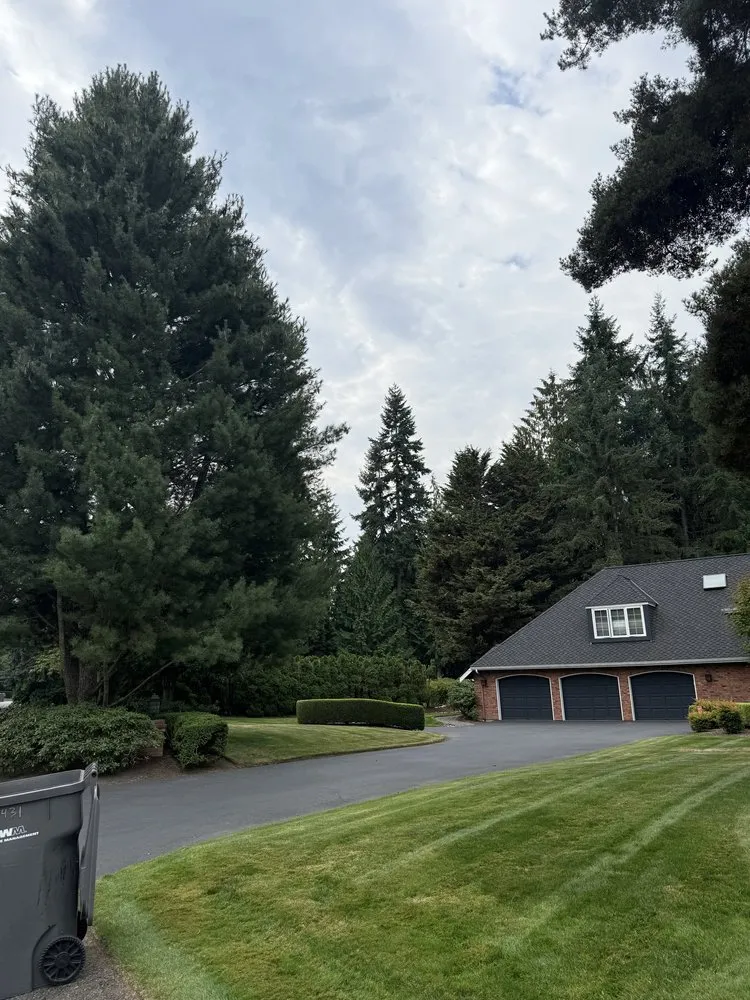 Professional yard cleanup service for outdoor upgrades across Bothell, WA - Royal Garden