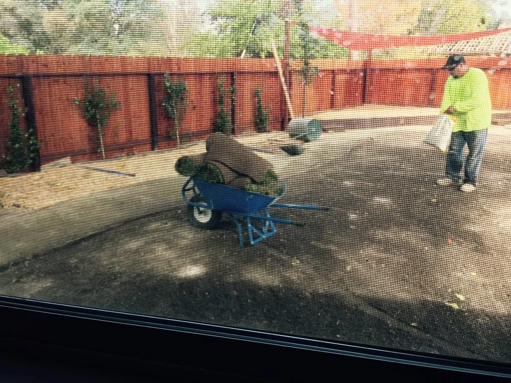 Reliable lawn mowing service in El Dorado Hills, CA - Royal Garden Landscaping