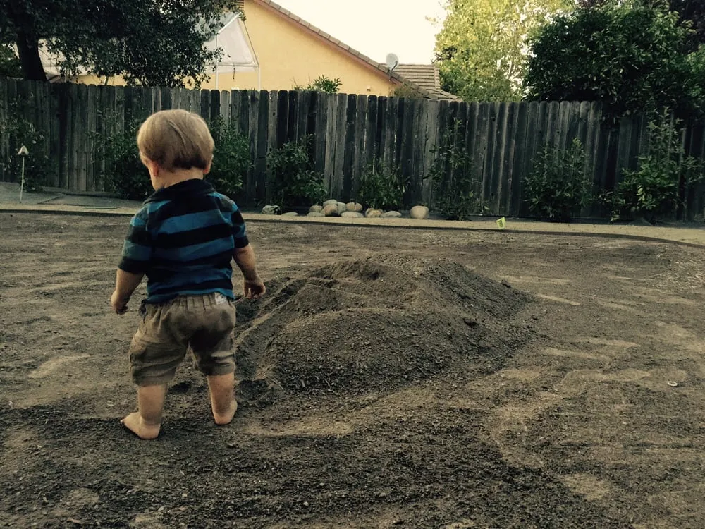 Affordable garden landscaping in El Dorado Hills, CA - Royal Garden Landscaping