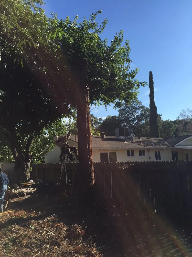 Local garden landscaping in El Dorado Hills, CA by Royal Garden Landscaping