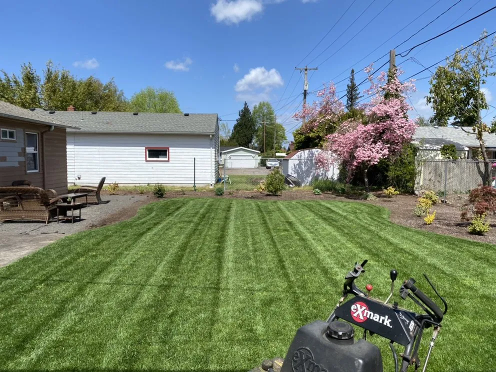 Trusted yard cleanup service in Keizer, OR by Royal Garden Lawn Maintenance