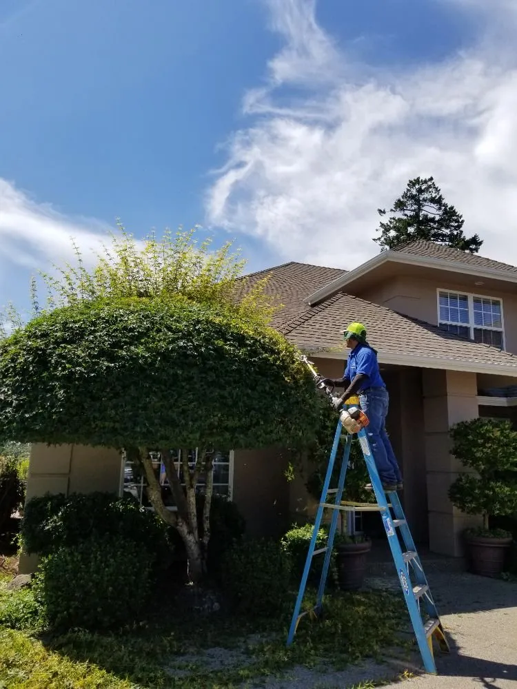 Expert outdoor landscaping experts serving Keizer, OR - Royal Garden Lawn Maintenance