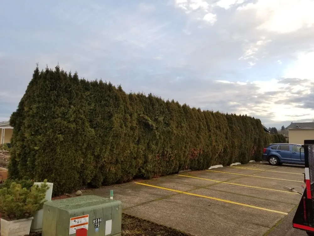 Professional outdoor landscaping in Keizer, OR - Royal Garden Lawn Maintenance