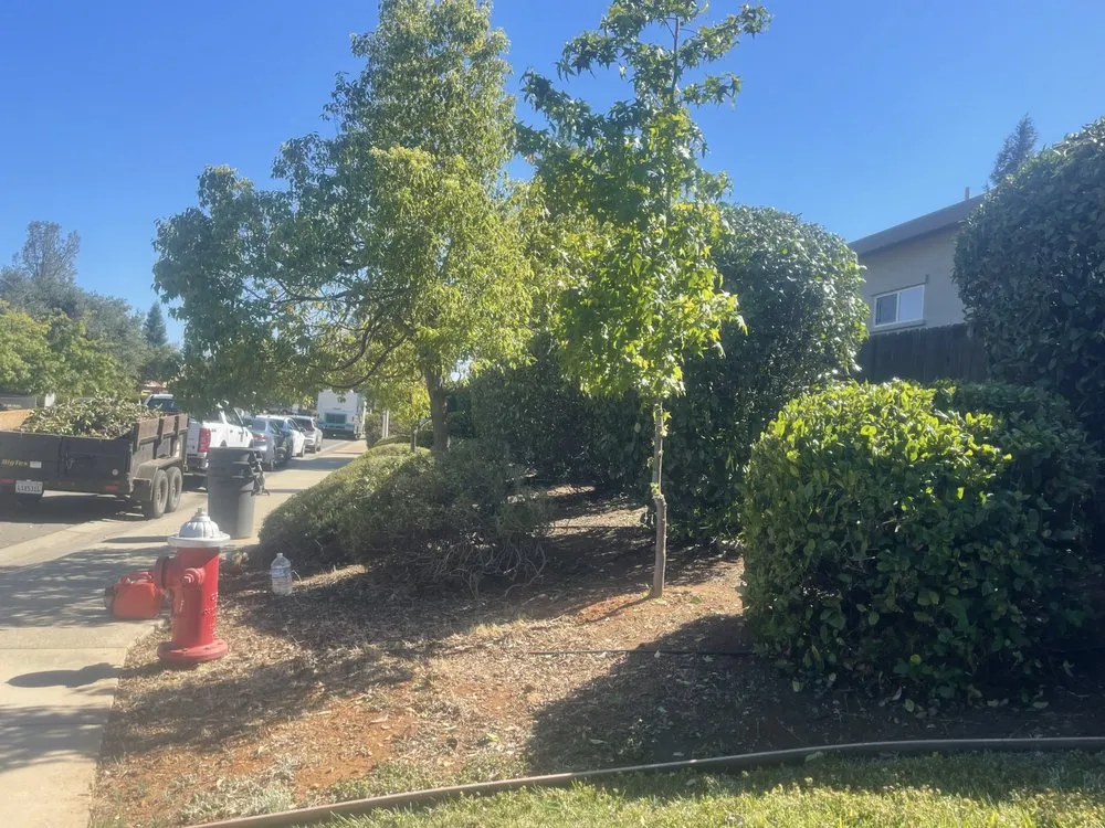 Custom outdoor landscaping near you in Redding, CA by Royal Garden Yard Care