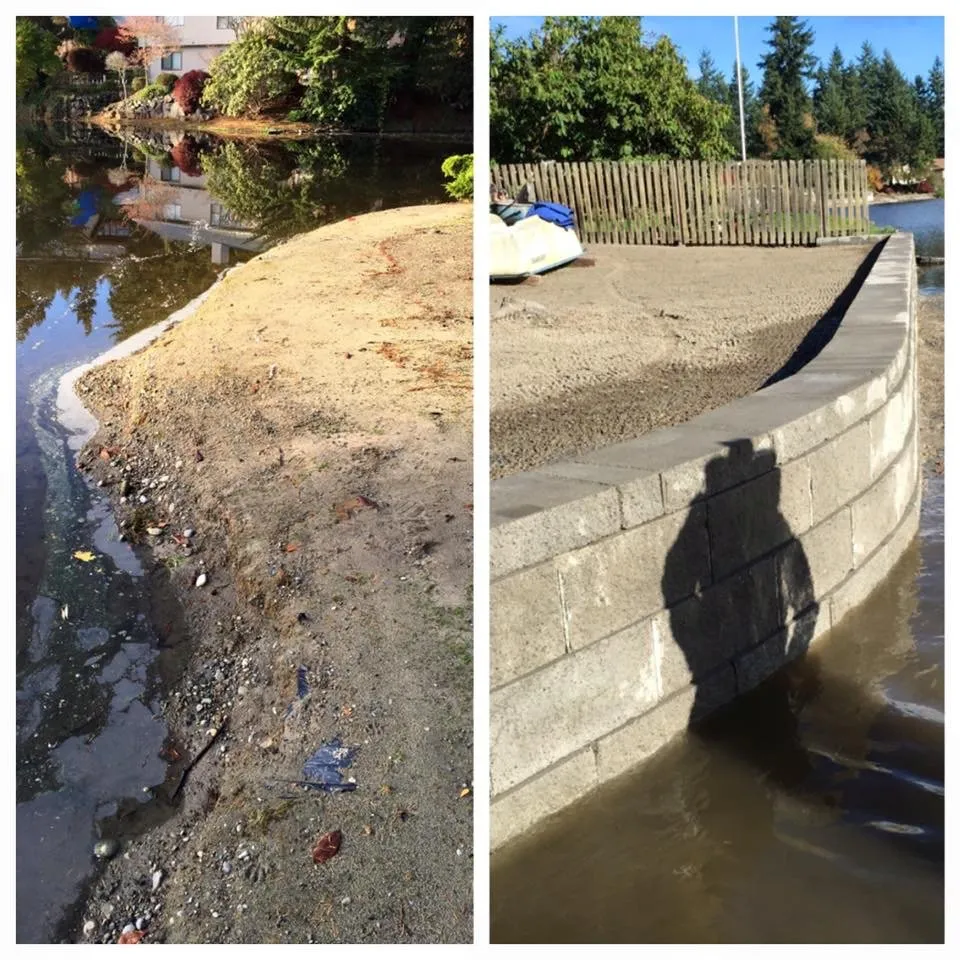 Expert yard cleanup service in Tumwater, WA by Royal Gardens Irrigation and Landscaping