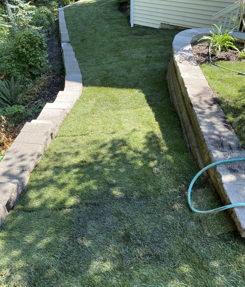 Professional yard maintenance for year-round maintenance in Tumwater, WA by Royal Gardens Irrigation and Landscaping