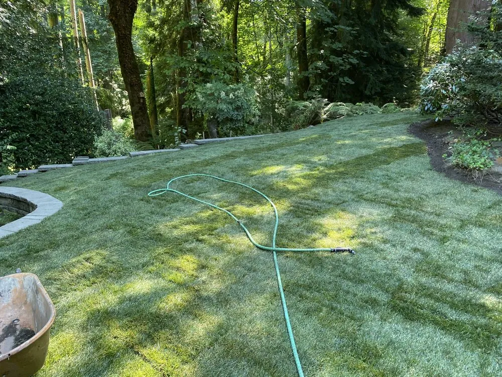 Top-rated residential landscaping for beautiful yards across Tumwater, WA - Royal Gardens Irrigation and Landscaping