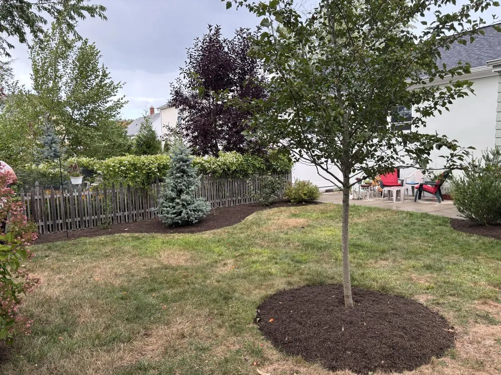 Professional outdoor landscaping in Warren, RI - Royal Gardens Landscape & Design