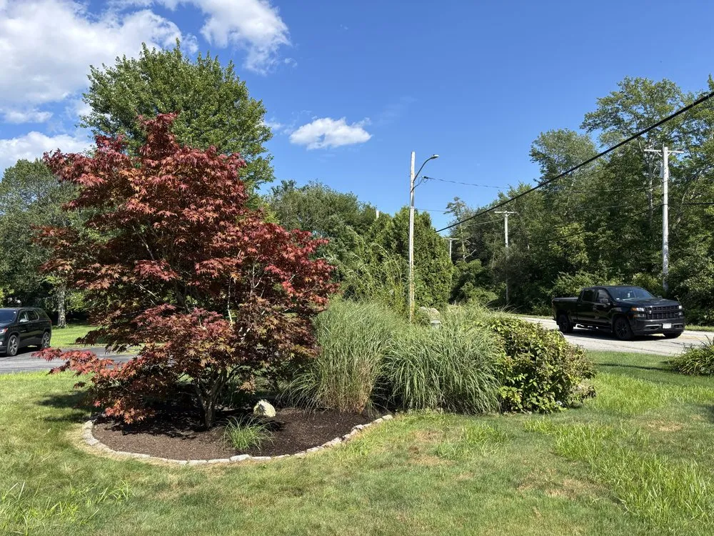 Reliable yard cleanup service for residential properties across Warren, RI - Royal Gardens Landscape & Design
