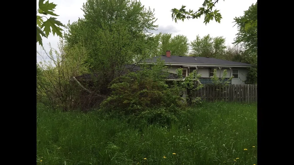 Affordable lawn care service in Richmond, IL by Royal Gardens Landscaping