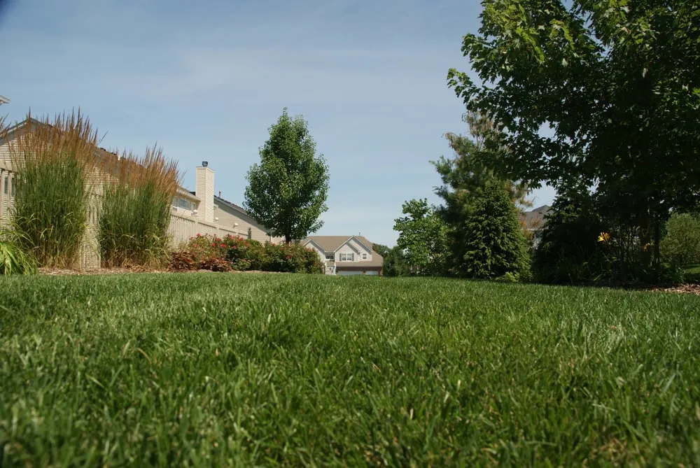 Top-rated yard cleanup service for year-round maintenance in Richmond, IL by Royal Gardens Landscaping
