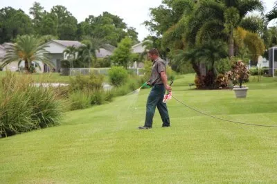 Top-rated lawn mowing service in Fort Pierce, FL - Royal Green Landscape & Pest Mgmt