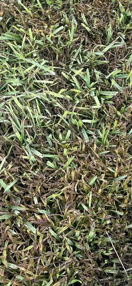 Custom lawn mowing service in Fort Pierce, FL by Royal Green Landscape & Pest Mgmt