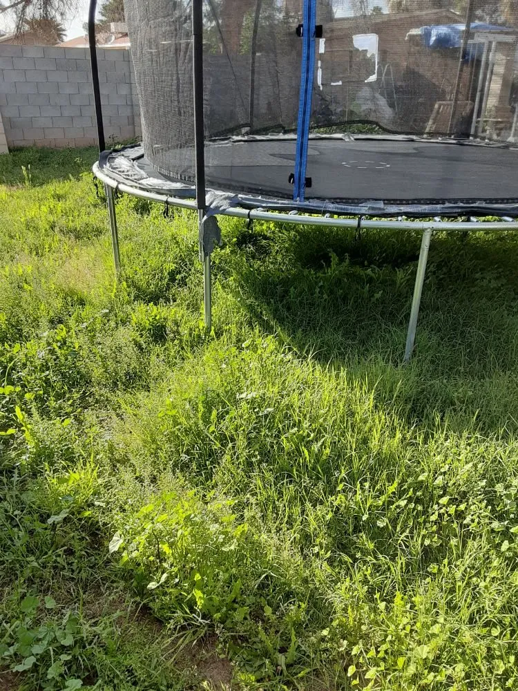 Expert landscape design for beautiful yards in Mesa, AZ by Royal Green Landscape